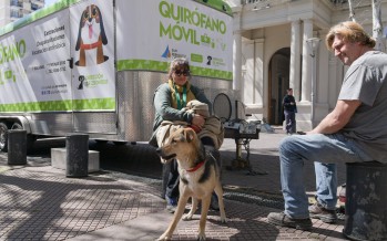 El ‘Municipio en tu Barrio’ volvió a la Plaza Mitre