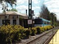 El Tren de la Costa reanudó su servicio completo: horarios y frecuencia
