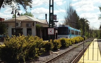 El Tren de la Costa reanudó su servicio completo: horarios y frecuencia