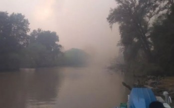 Un incendio en el delta dejó un fuerte olor a quemado