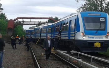 Descarriló una formación del tren Mitre