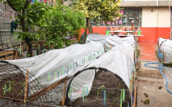 El Colegio Madre Rafaela avanza en el proyecto de la huerta natural orgánica