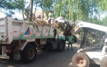 Operativo de limpieza y ordenamiento en el barrio Alsina