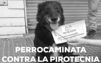 Perrocaminata contra la pirotecnia en Plaza Mitre