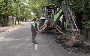 Tareas de mantenimiento y bacheo sobre Libertador desde Del Arca hasta Almirante Brown