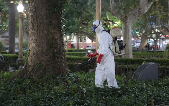 Medidas para prevenir el dengue en las plazas de nuestra ciudad