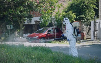 Operativos de prevención contra el dengue en el barrio Malvinas Argentinas