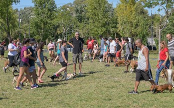 Nuevo taller de adiestramiento de perros en el Parque del Bicentenario