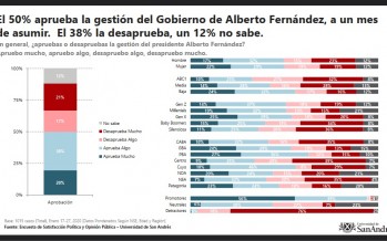 Encuesta de la Universidad de San Andrés sobre el gobierno de Alberto Fernández