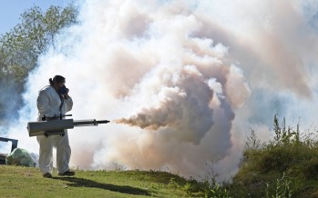 Operativos de prevención contra el dengue en nuestra ciudad