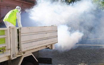 Dengue: operativos de fumigación por la calle Lavalle y el Canal para evitar la propagación del mosquito