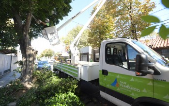 Trabajos de mantenimiento de los espacios verdes en la Plaza del Canal