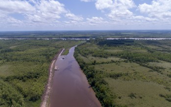 Lanzan una consulta ciudadana para definir el futuro ambiental de la Cuenca del Luján
