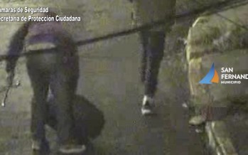 Barrio Infico: detienen a dos hombres tras robar un auto estacionado