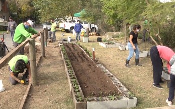 Barrio La Floresta: primer proyecto de huerta orgánica comunitaria