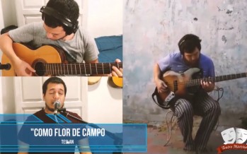 Recitales en cuarentena: músicos de nuestra ciudad brindan shows por Instagram y Facebook