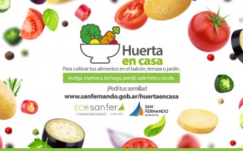 Huerta en Casa: el programa que busca incorporar hábitos saludables