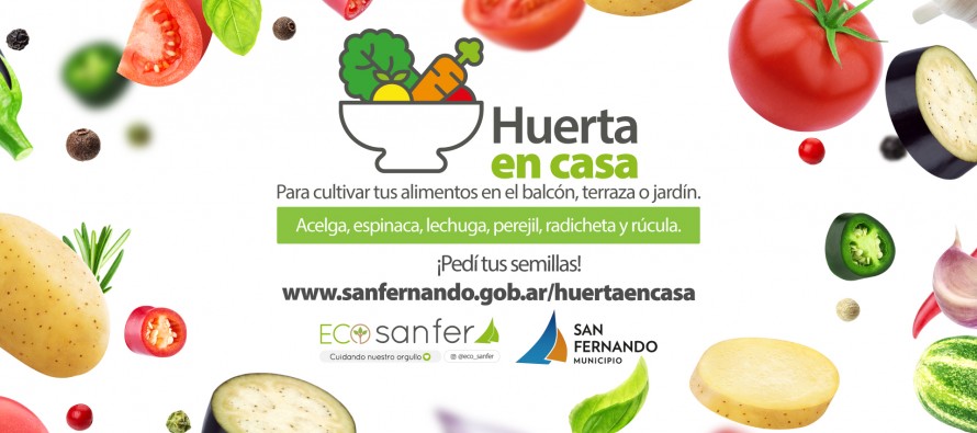 Huerta en Casa: el programa que busca incorporar hábitos saludables
