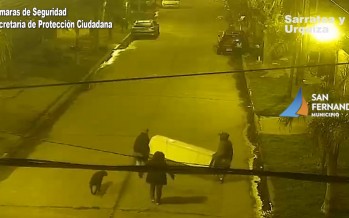 Sarratea y Urquiza: cuatro detenidos por intentar robar una heladera de un domicilio
