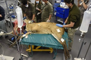 118184952_1554781808062048_5074953207769053371_o