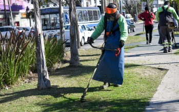 Avenida Sobremonte: trabajos de mantenimiento de los espacios públicos