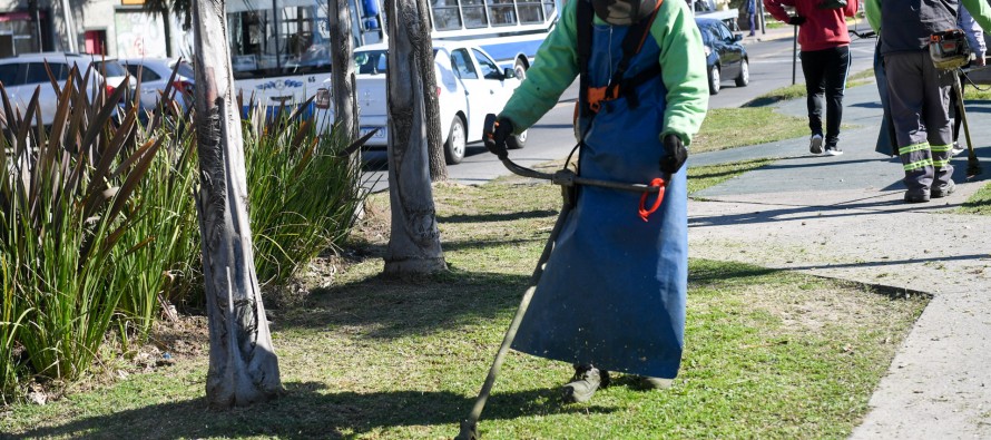 Avenida Sobremonte: trabajos de mantenimiento de los espacios públicos