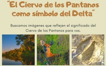 Proyecto Pantano lanza un concurso fotográfico para estudiantes del Delta