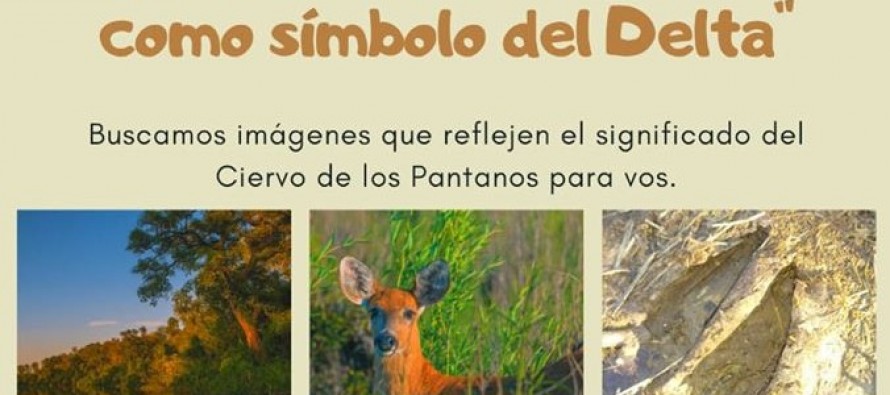 Proyecto Pantano lanza un concurso fotográfico para estudiantes del Delta