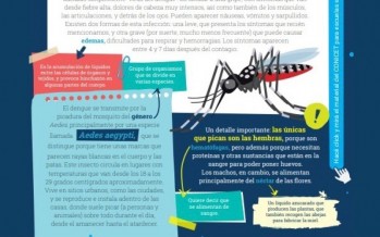 Ciencia en las escuelas: estudiantes bonaerenses cuentan con materiales educativos realizados por científicos de CONICET