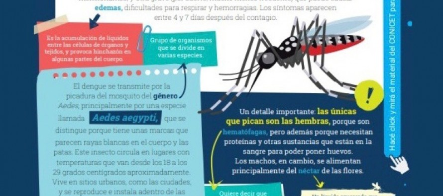 Ciencia en las escuelas: estudiantes bonaerenses cuentan con materiales educativos realizados por científicos de CONICET