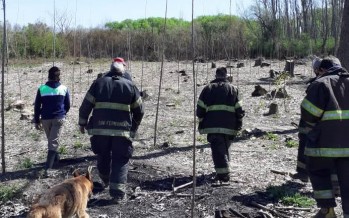 Los Bomberos extinguieron un incendio en el Delta