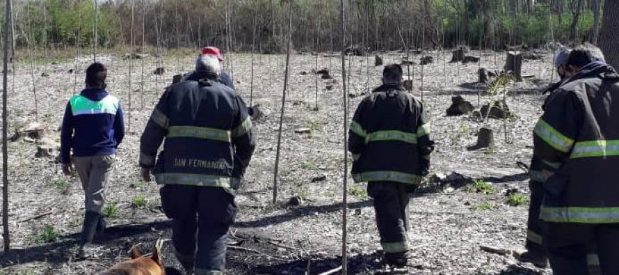 Los Bomberos extinguieron un incendio en el Delta