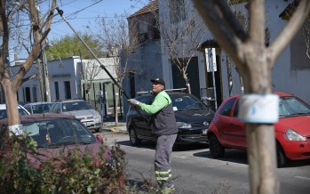 Mantenimiento de crespones en Belgrano y Chacabuco
