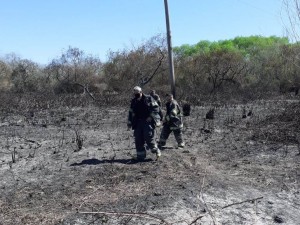 2 incendio en el delta