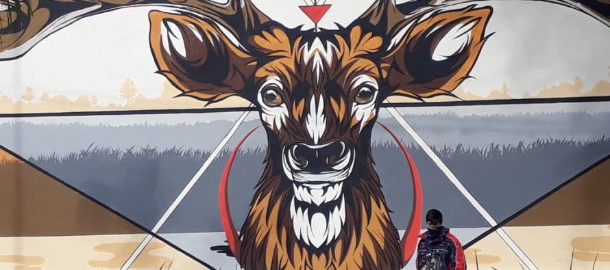 Rodrigo Ojeda, el muralismo como herramienta cultural