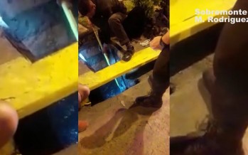 Defensa Civil rescató a un perro ciego que quedó atrapado en una alcantarilla