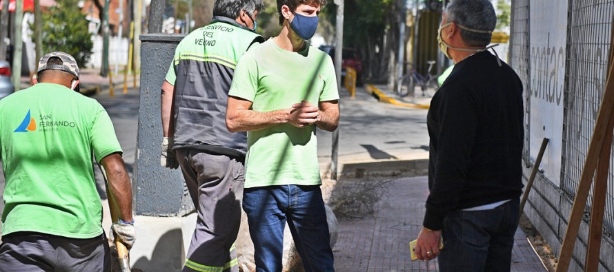 Plantaron 5.000 árboles nuevos