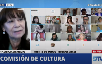 Avanza en Diputados el proyecto que declara de interés el bicentenario de la Provincia