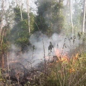 WhatsApp Image 2020-10-03 at 12.52.50