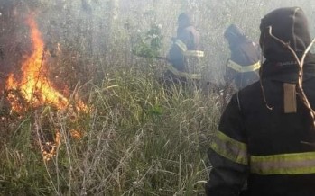 Bomberos de nuestra ciudad apagaron un incendio en el Delta