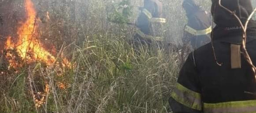 Bomberos de nuestra ciudad apagaron un incendio en el Delta