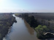 Cuál es la reserva del Delta sanfernandino que recibirá los carpinchos de Nordelta