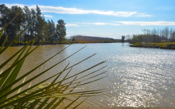 Realizarán un corte en el río Tigre para pedir que vuelva la luz en el Delta