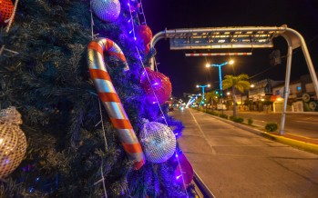 ¿Cómo será el funcionamiento de los servicios municipales durante las fiestas?