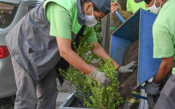 Tareas de equipamiento urbano y parquización sobre la Avenida Perón desde Uruguay hasta Quintana