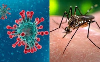 ¿COVID-19 o dengue?