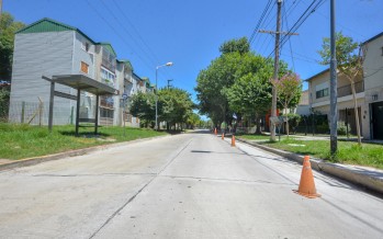 Repavimentación de la calle Carlos Casares ente Santa María de Oro e Italia