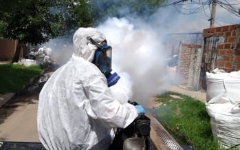 Operativos de prevención contra el dengue y mosquitos en nuestra ciudad