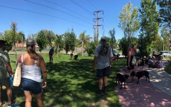 Taller gratuito de tenencia responsable en el Parque del Bicentenario