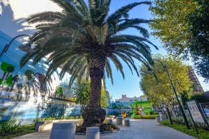 Plaza De los escritores
